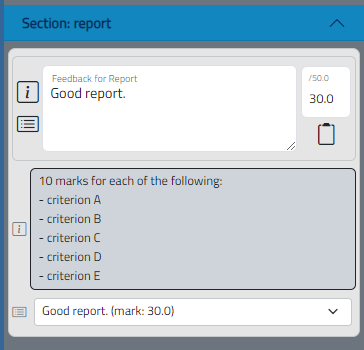 Feedback set CS100-CWK-Report marking panel after